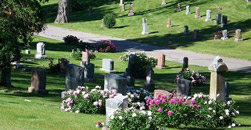 Carolina Memorial Park